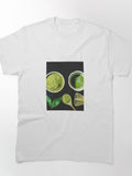 Organic Matcha Green Tea Tee Traditional Japanese Drink Art